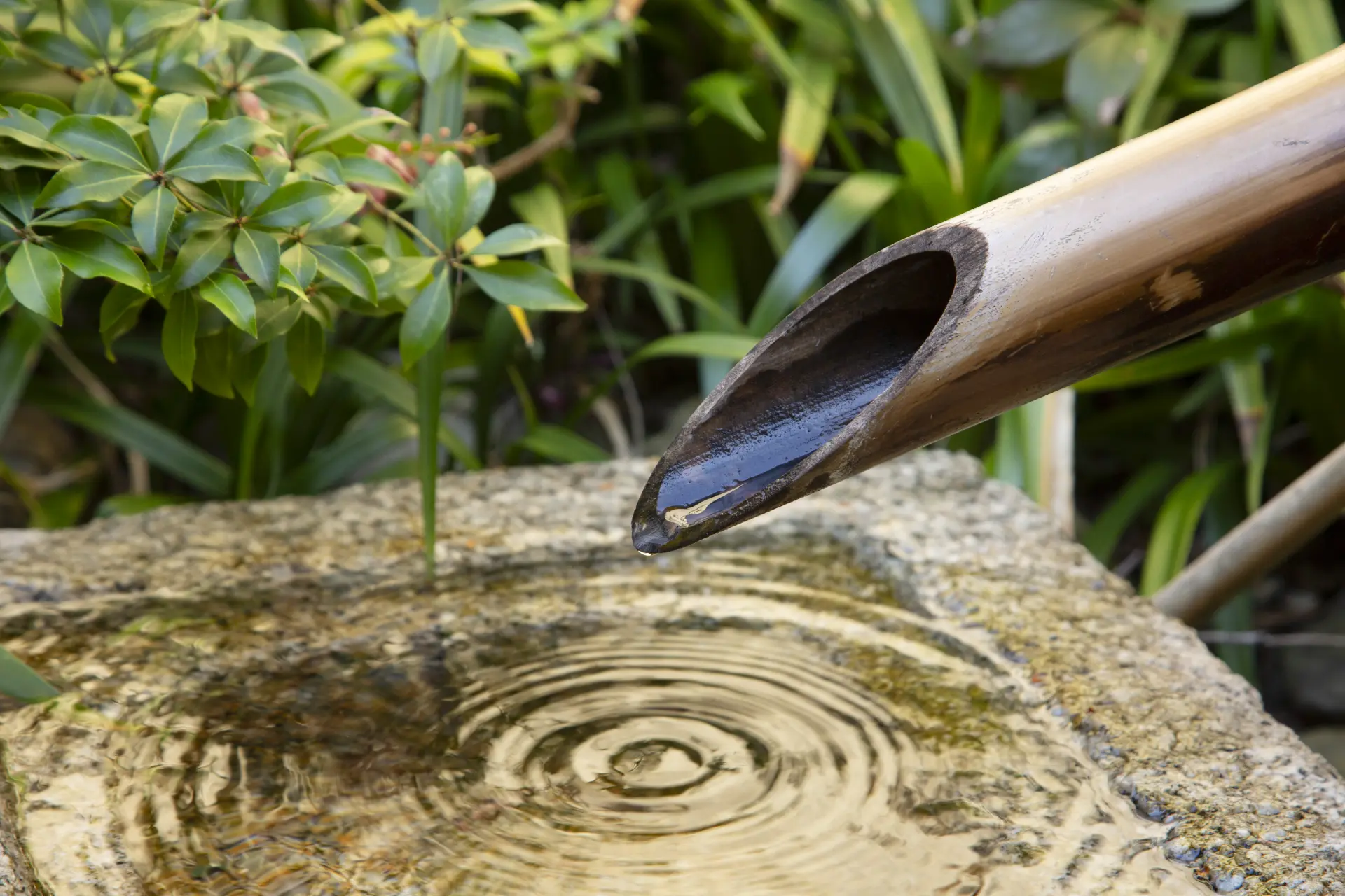 庭にある風流な筧(かけひ)