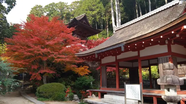 山腹に建つ堂と、自然に囲まれた境内。石段を登った後に広がる絶景も楽しみ