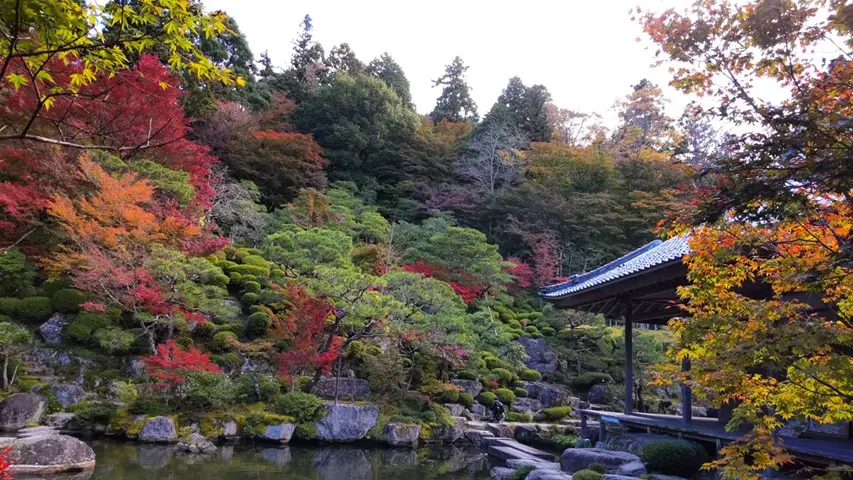 庭園と建物が調和する寺院の景観。視線の先に奥行きある美しさが続く