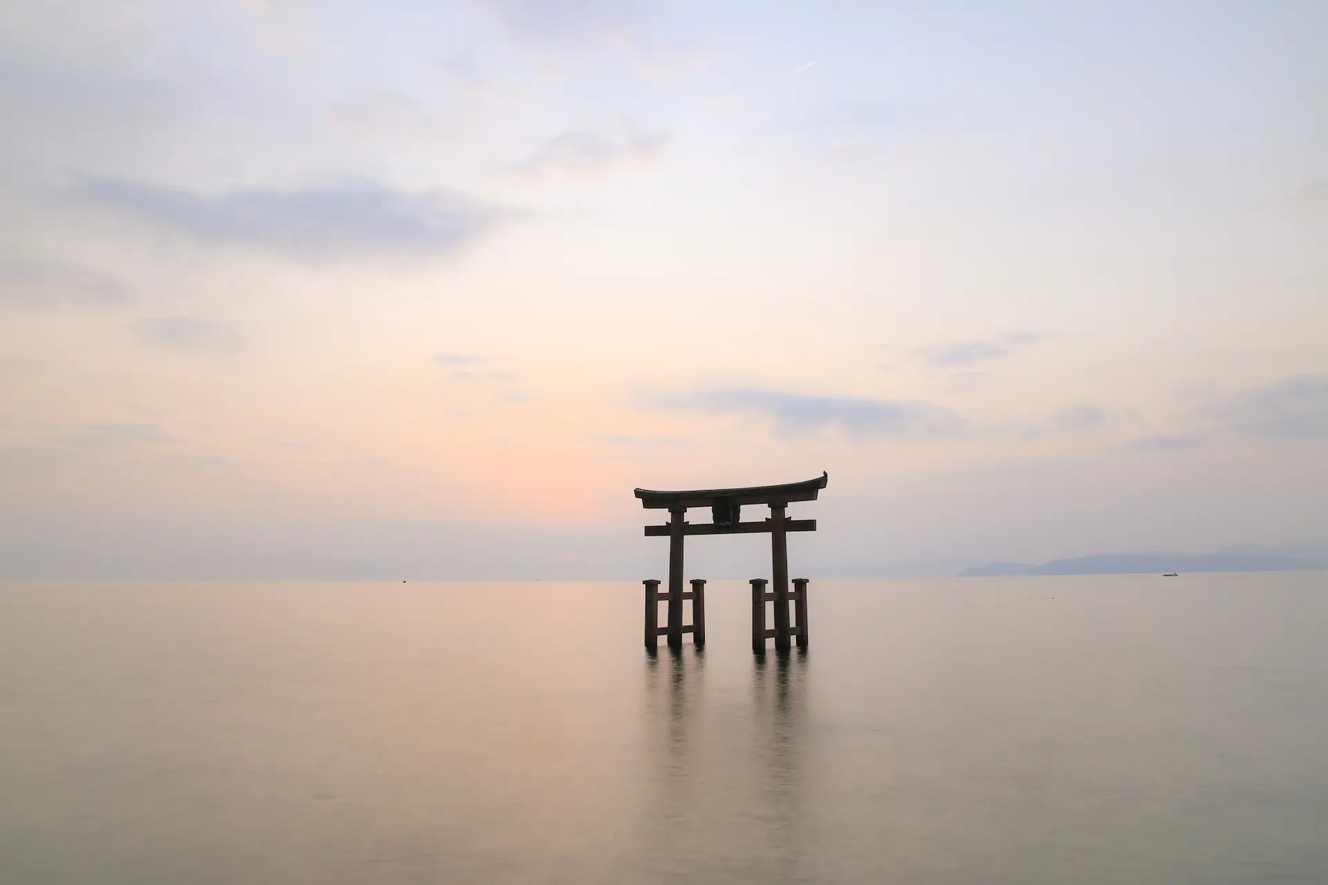 湖中に鳥居が立つ象徴的な景観。水面に浮かぶような姿が印象に残る