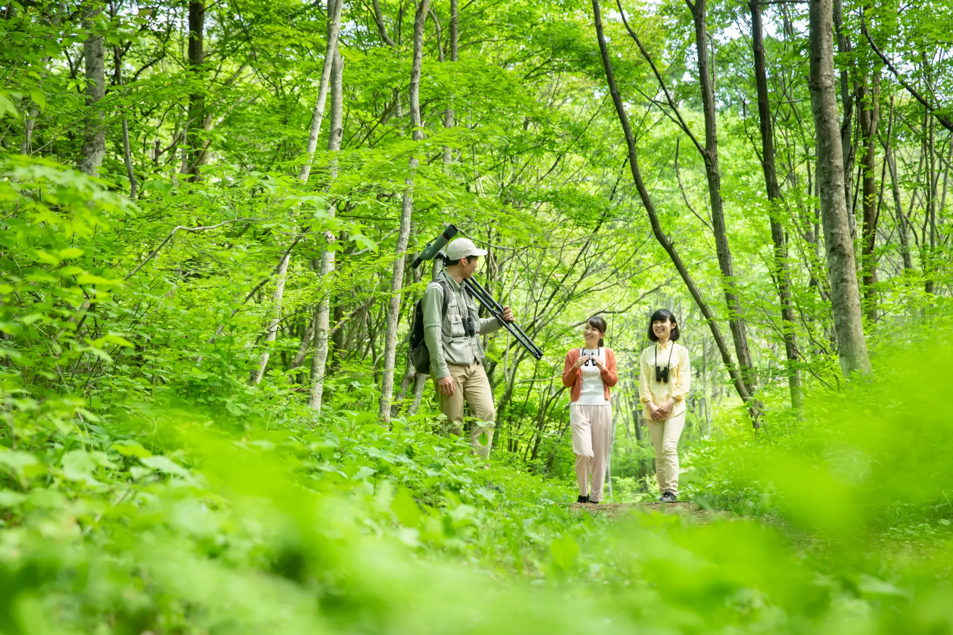森の中を散策しながら、生き物との出会いを楽しんでみよう