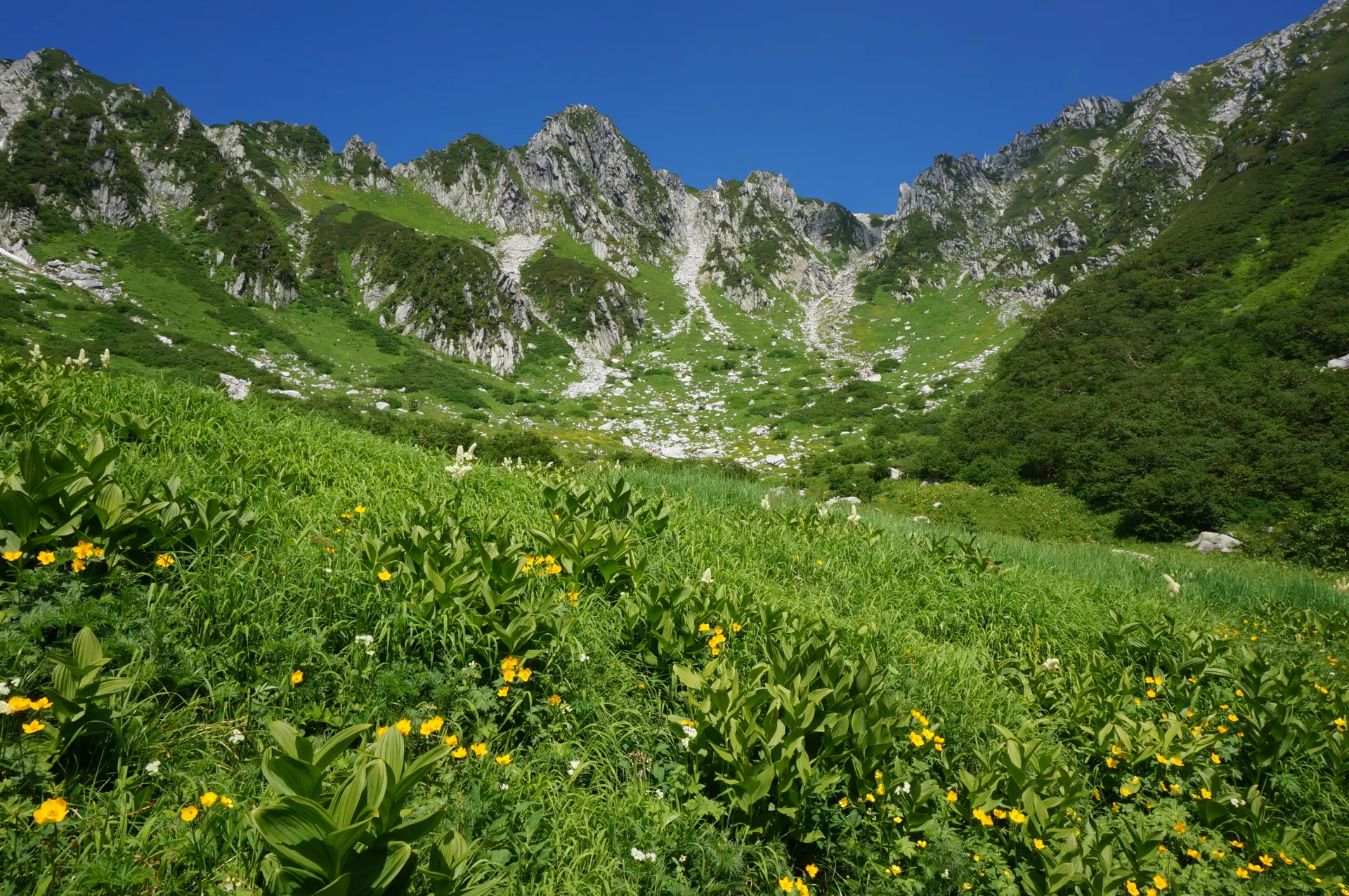 四季折々に違った雄大な景色を見ることができる