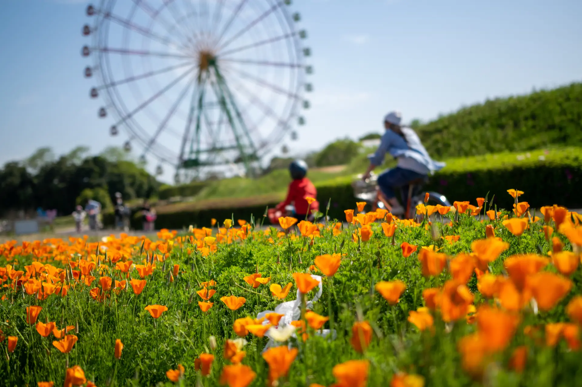 公園・動物・科学館までたっぷり遊べる 茨城の親子旅行におすすめの観光スポット13選