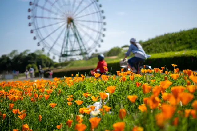 公園・動物・科学館までたっぷり遊べる 茨城の親子旅行におすすめの観光スポット13選