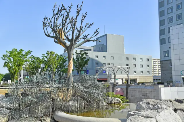 ドライブも楽しむつもりで、つくば駅を拠点にレンタカーで移動するのも一つの手段