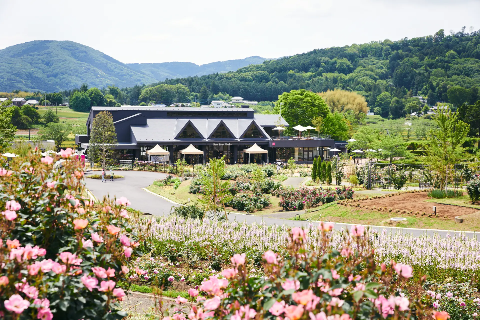 花に囲まれた園内の建物の奥には、山並みの風景が広がっている