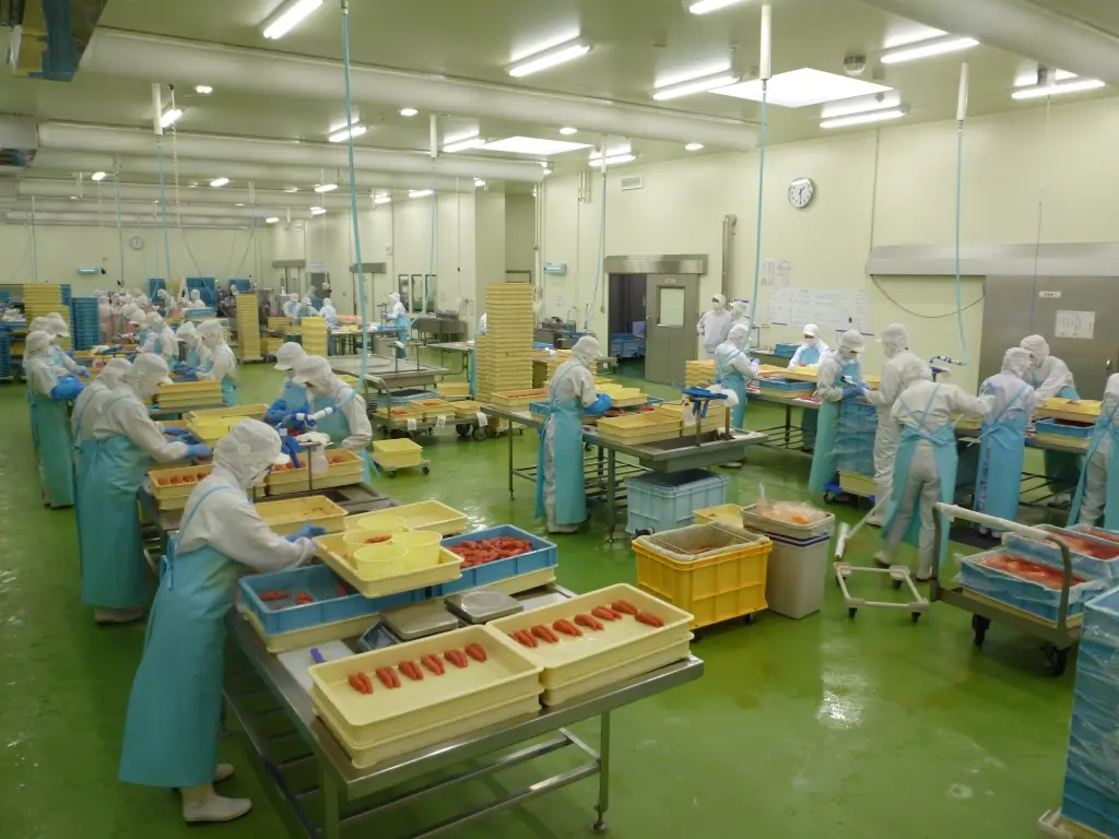 実際の製造現場を見て食品を口にする流れで、楽しみながら食育にもつながる