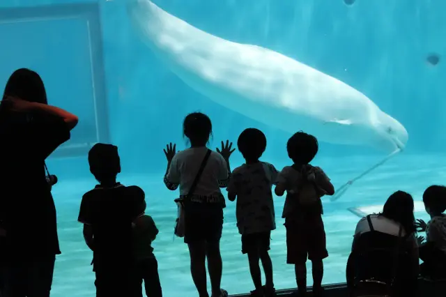 親子でおでかけするならココ！ 1泊2日で巡る愛知の体験スポット15選