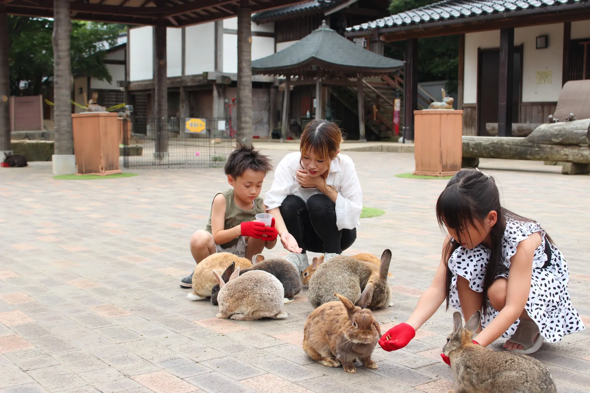手からおやつを食べるうさぎの姿は、子どもたちの思い出に