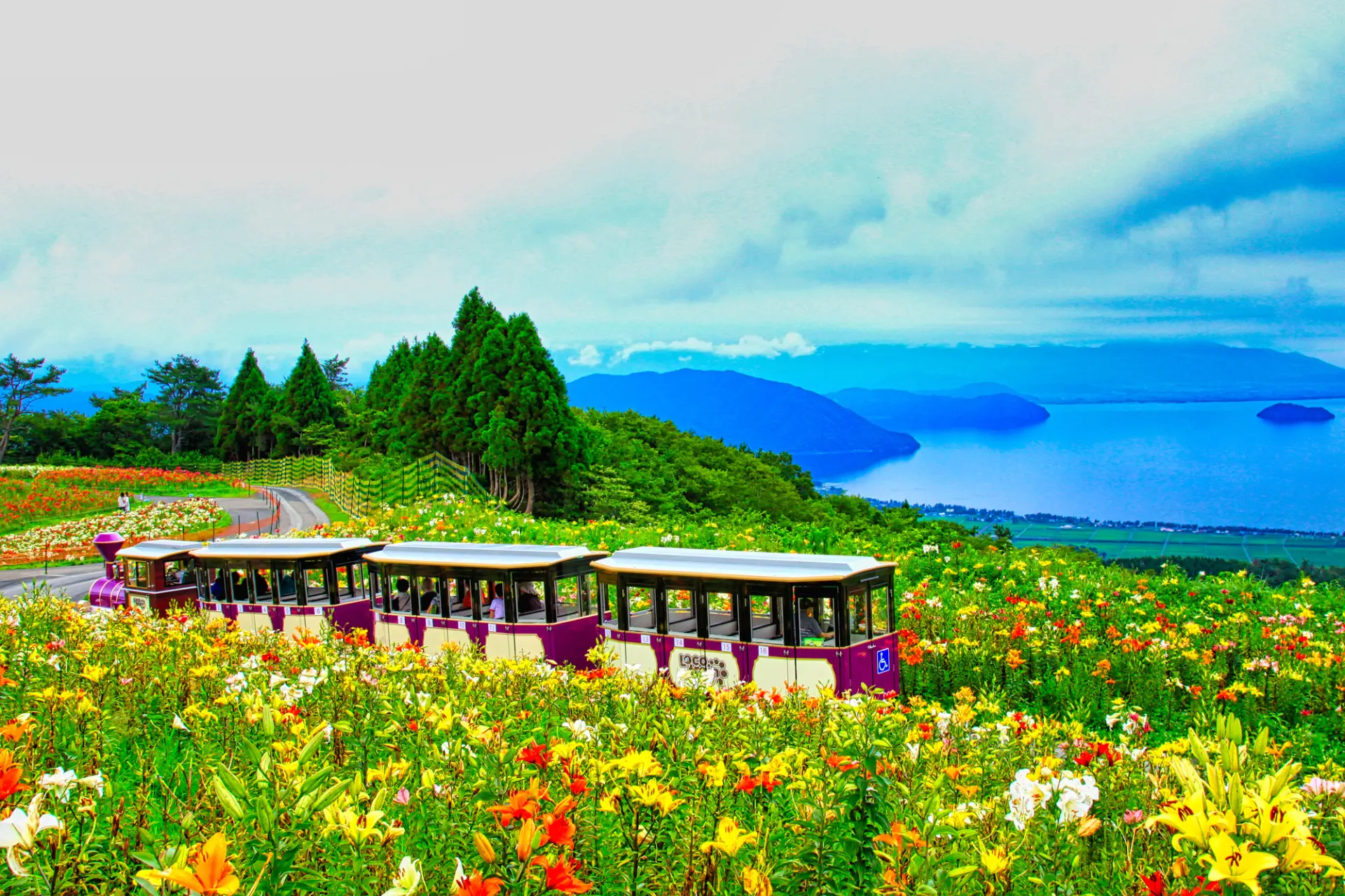 【滋賀県の人気デートスポット13選】琵琶湖の絶景と歴史が彩る、特別な時間
