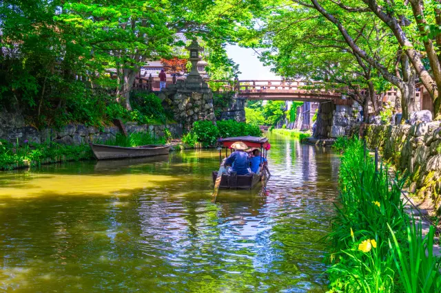 日本一遅い乗り物と称される手漕ぎ船での水郷めぐりもおすすめ