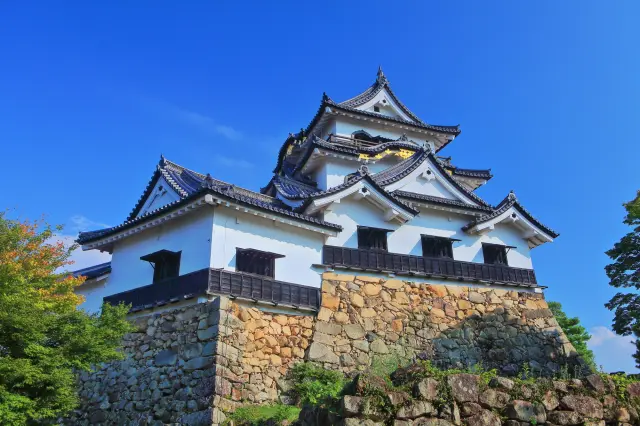 彦根山上に佇む国宝・天守のほか天秤櫓など重要文化財も多数見られる