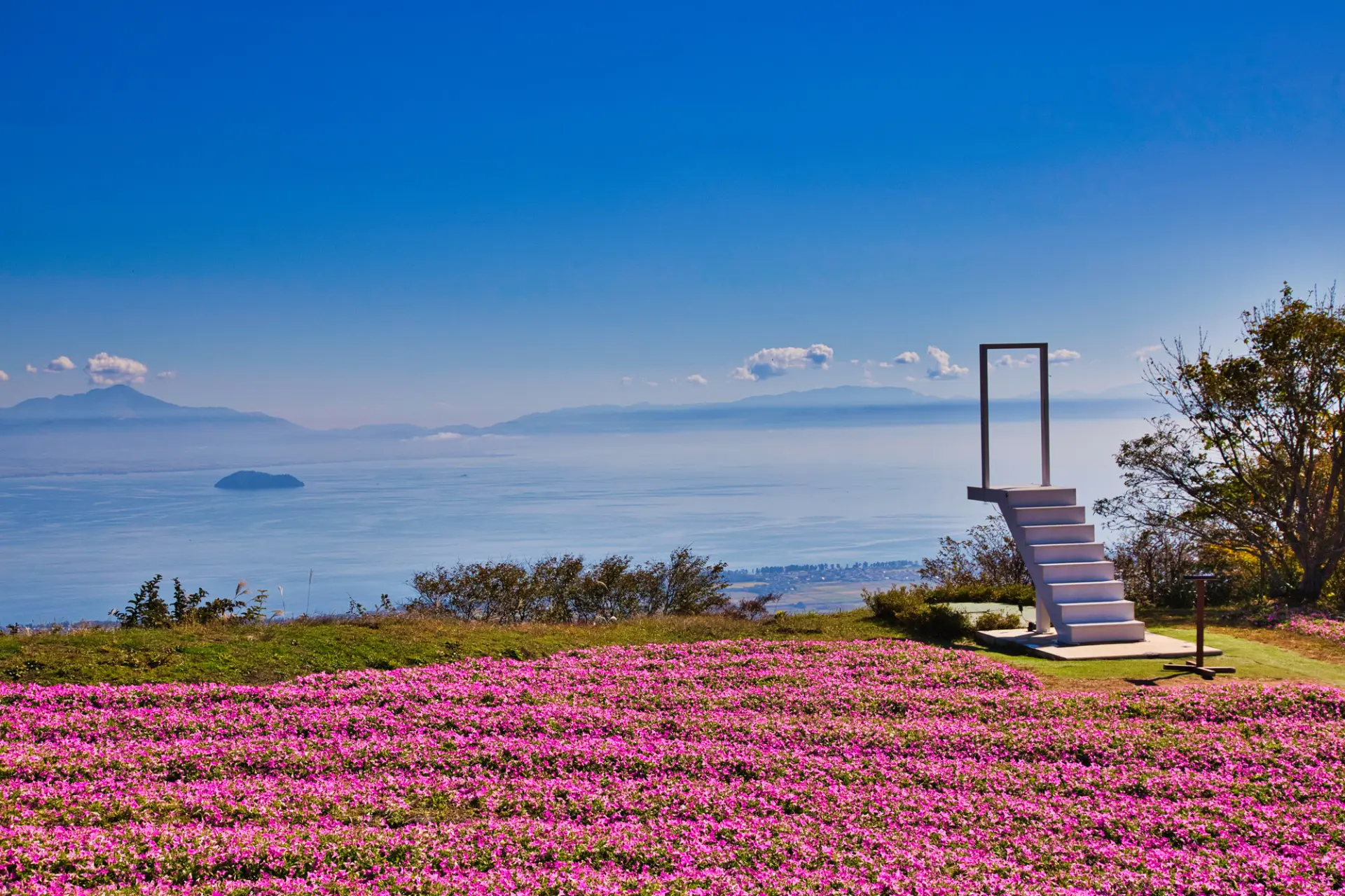 一面の花畑が広がるグリーンシーズン