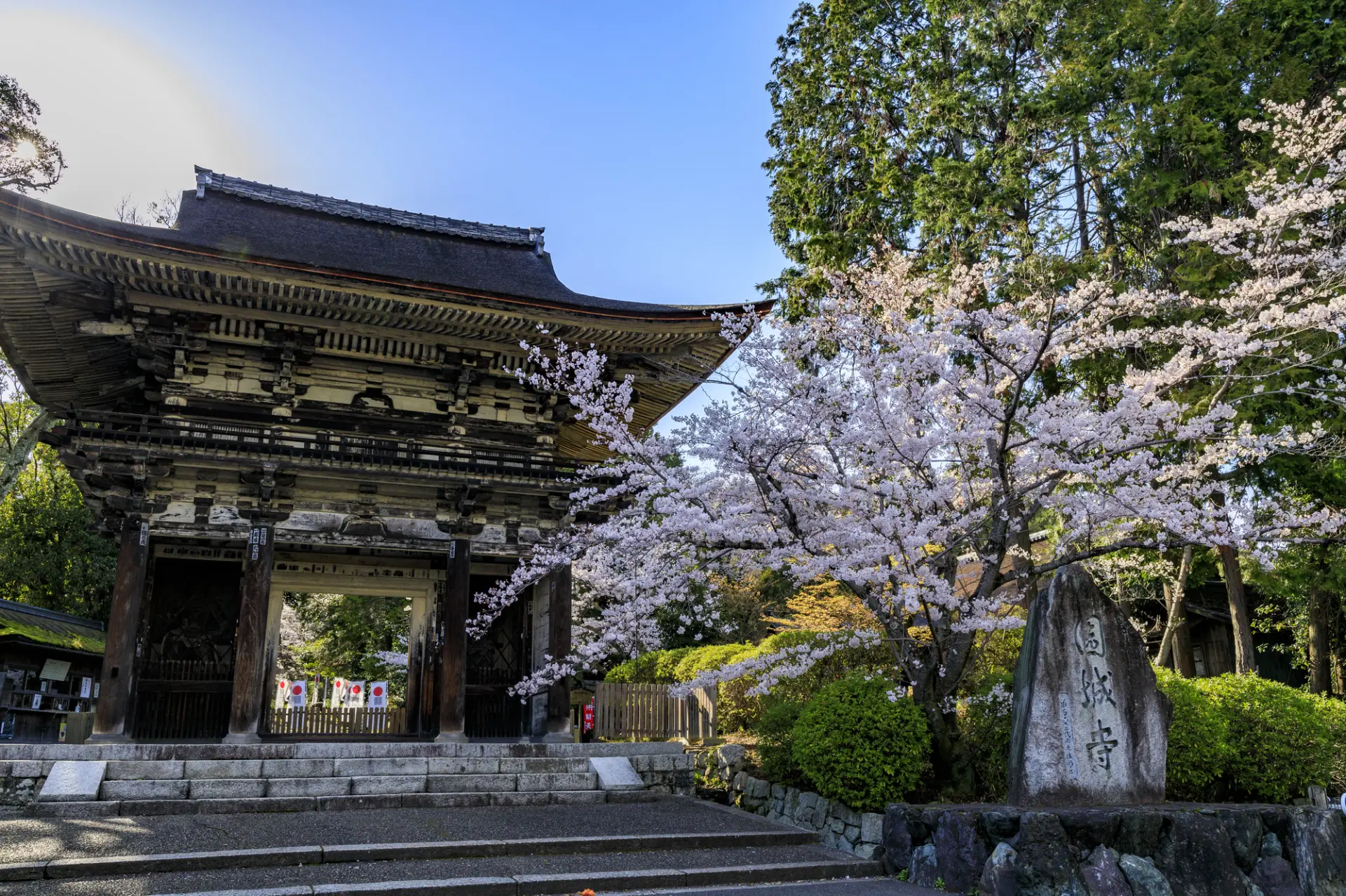 春には1,000本以上の桜が咲き、華やかな景観に包まれる