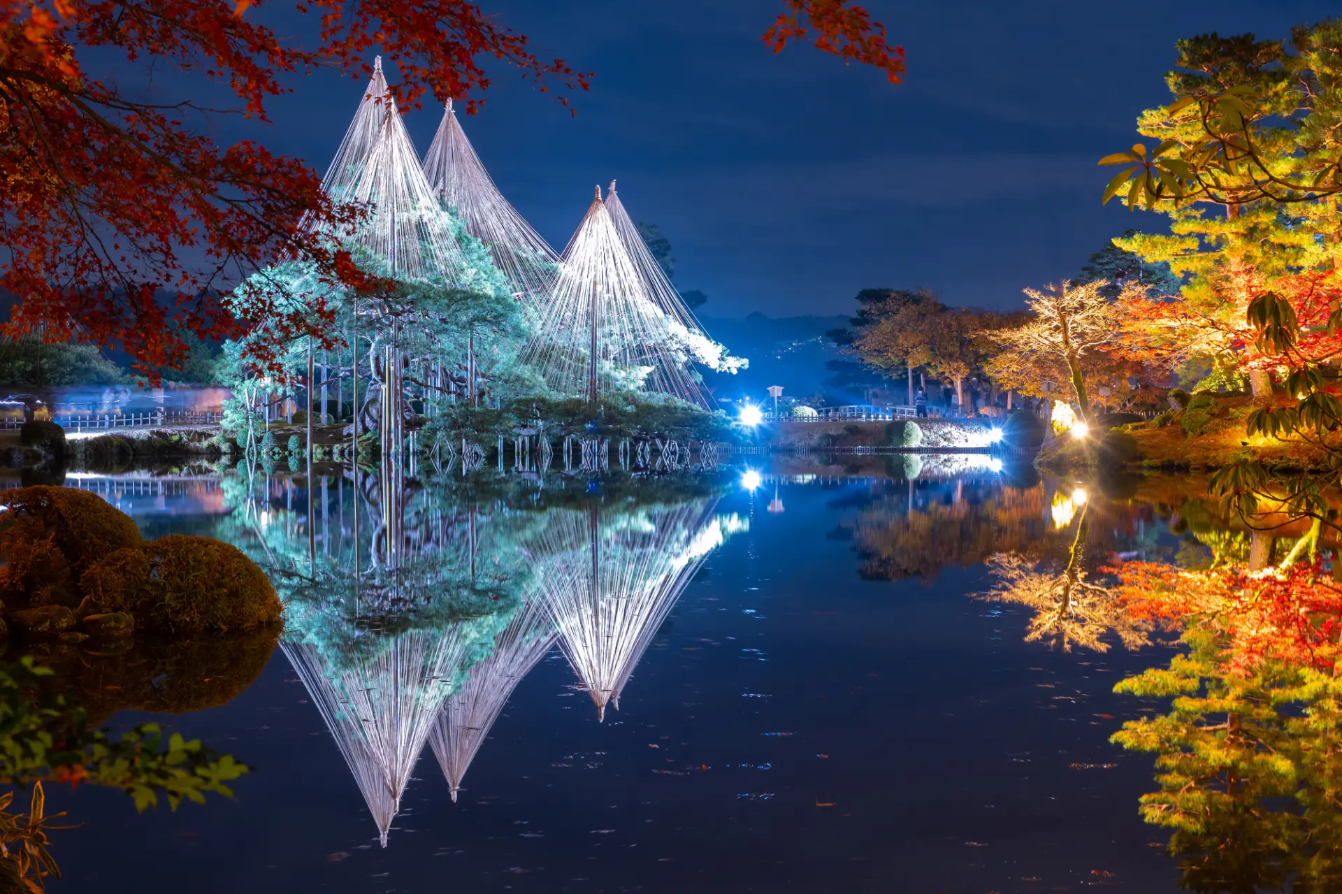 ライトアップされ、幻想的な雰囲気に包まれる夜の兼六園