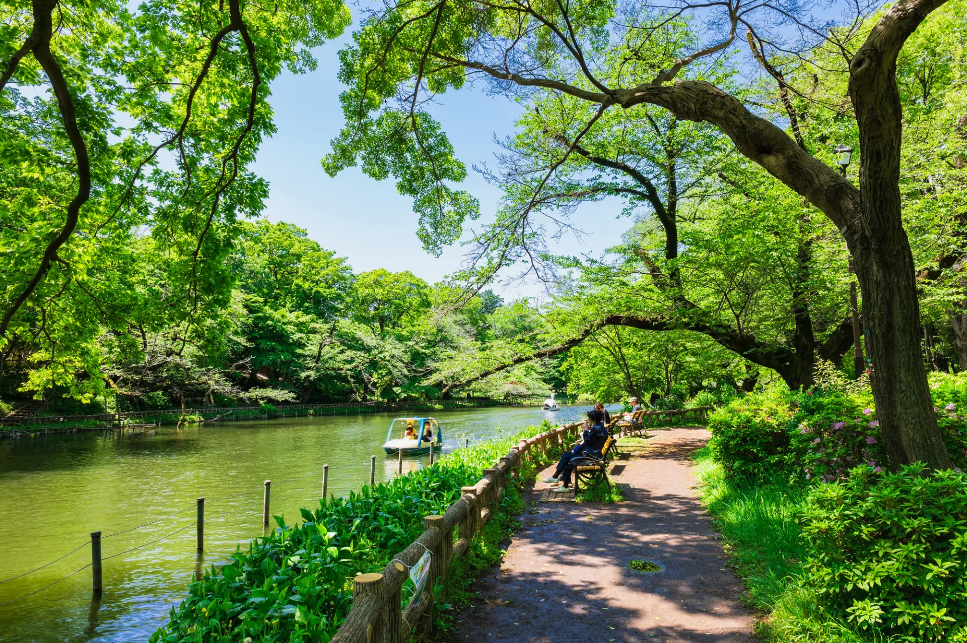 井の頭 恩賜 公園