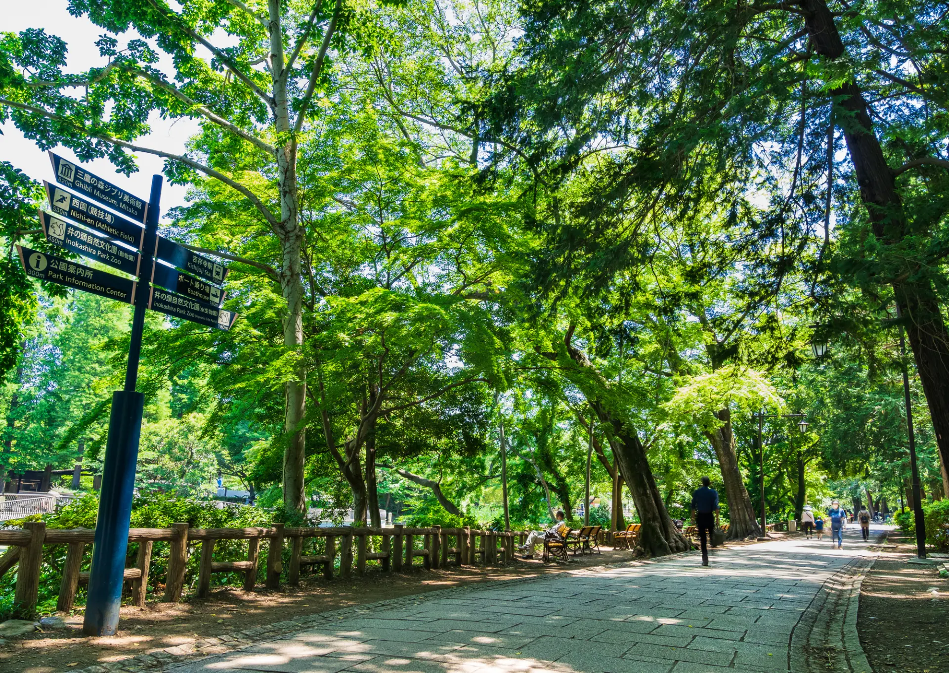 都会の喧騒を忘れられる自然豊かな「井の頭公園」