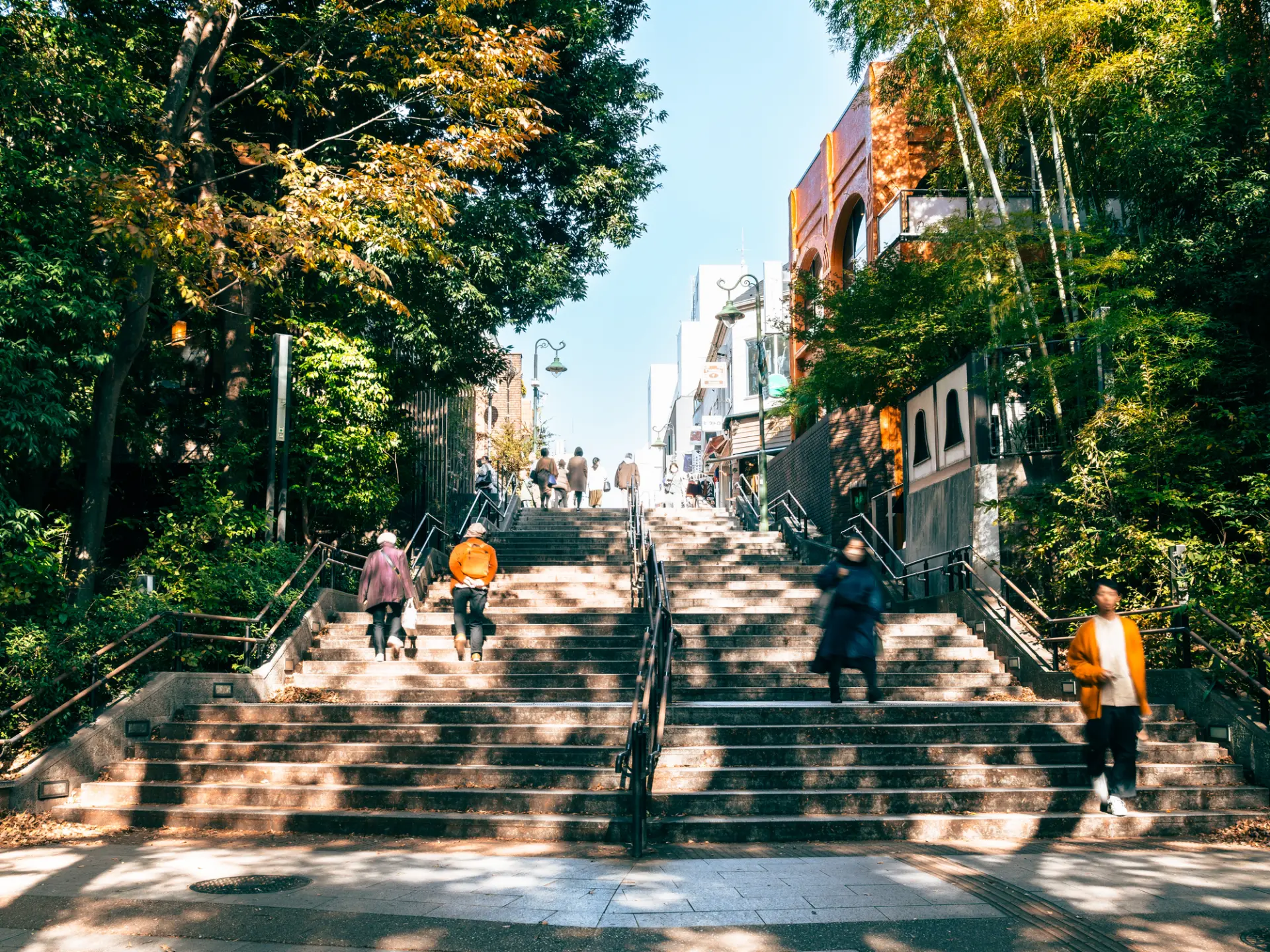 思い思いに井の頭公園を楽しもう