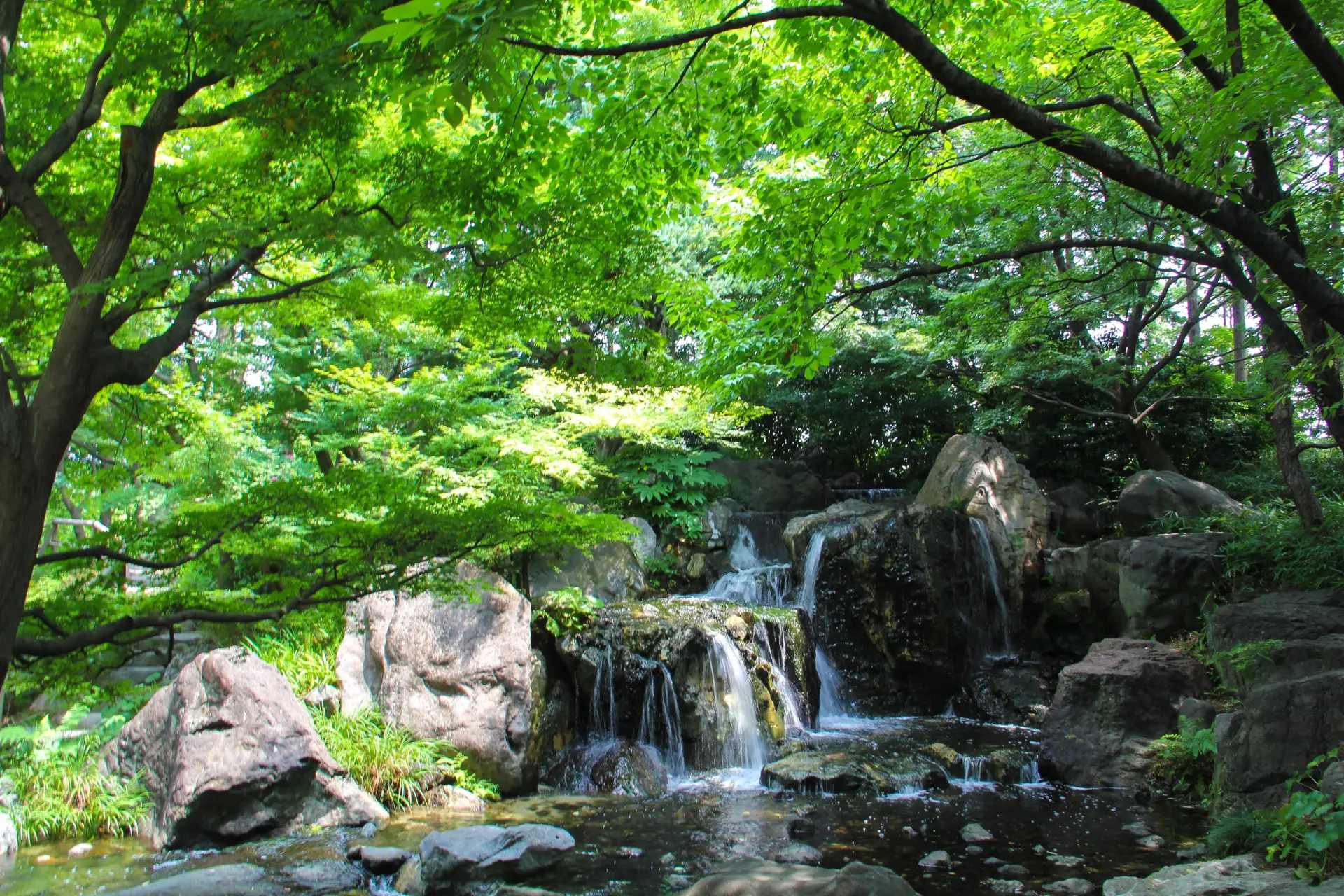 夏には庭園内が鮮やかな新緑に包まれる