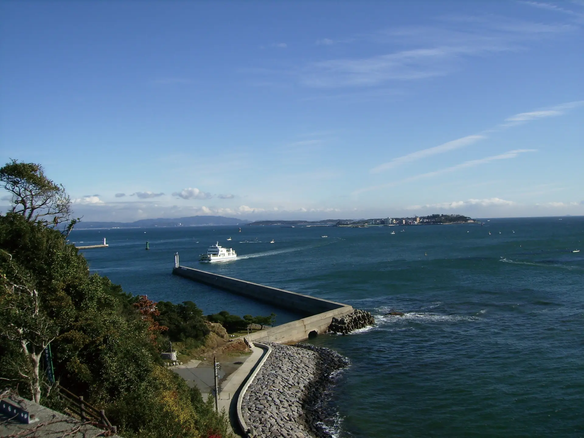 巨大水槽のメイン、マイワシのトルネード