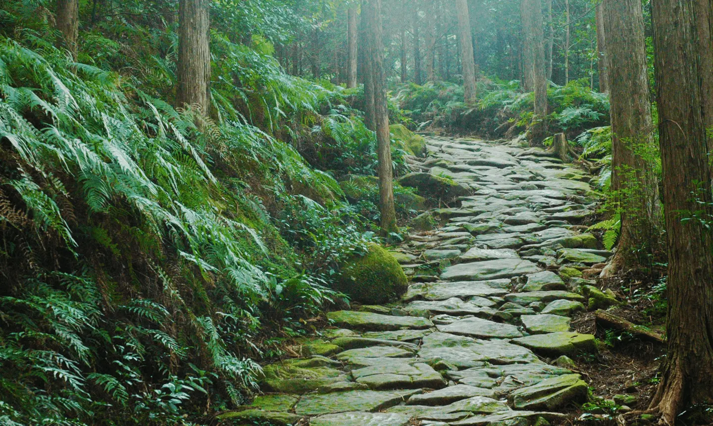 尾鷲ヒノキに囲まれた石畳の古道。森閑とした峠道の風情