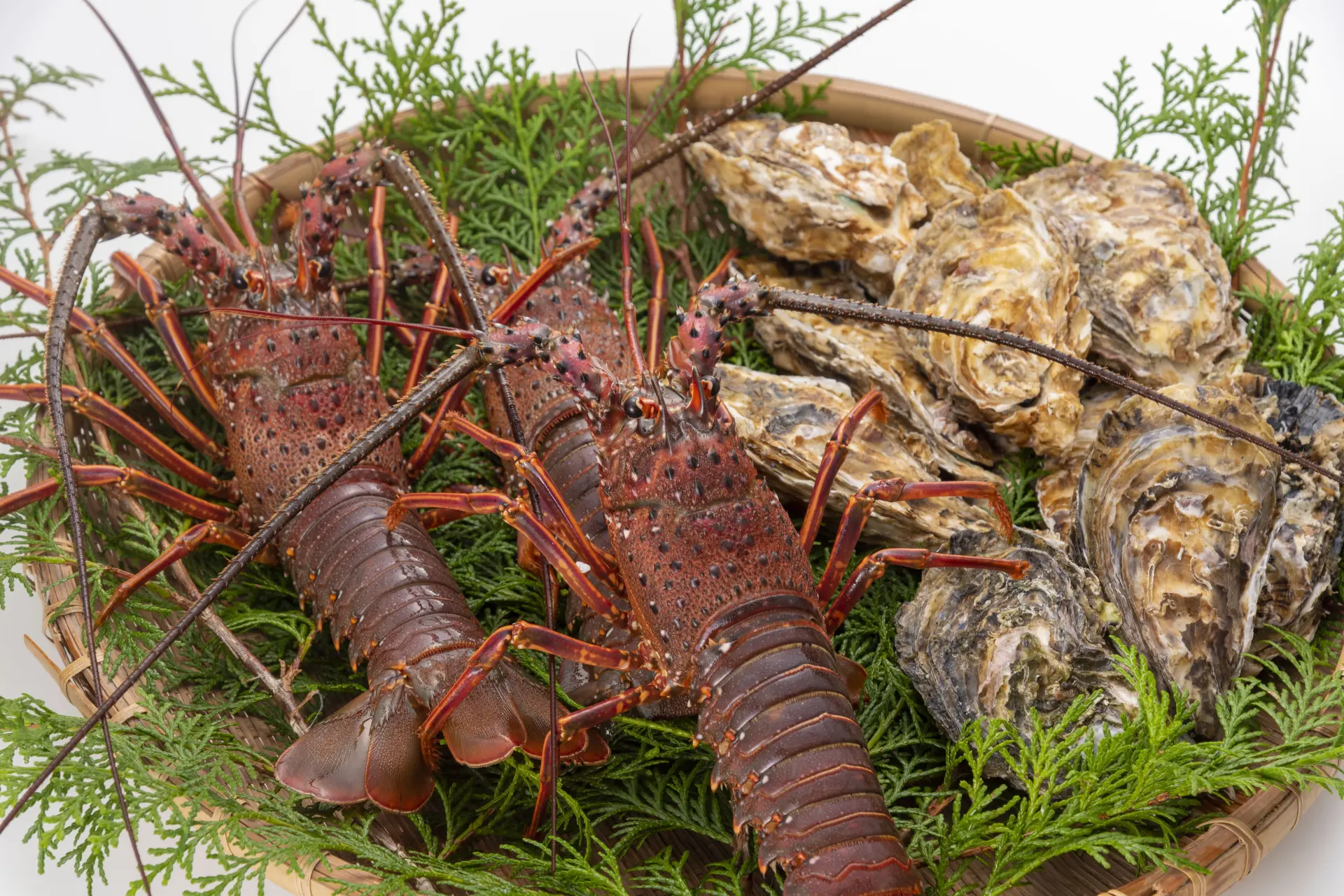 新鮮な海産物をはじめ、三重ならではのお土産探しにも最適なスポット