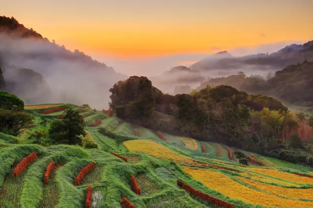 【千葉で出会う意外な体験9選】東京のすぐ隣にこんな世界が