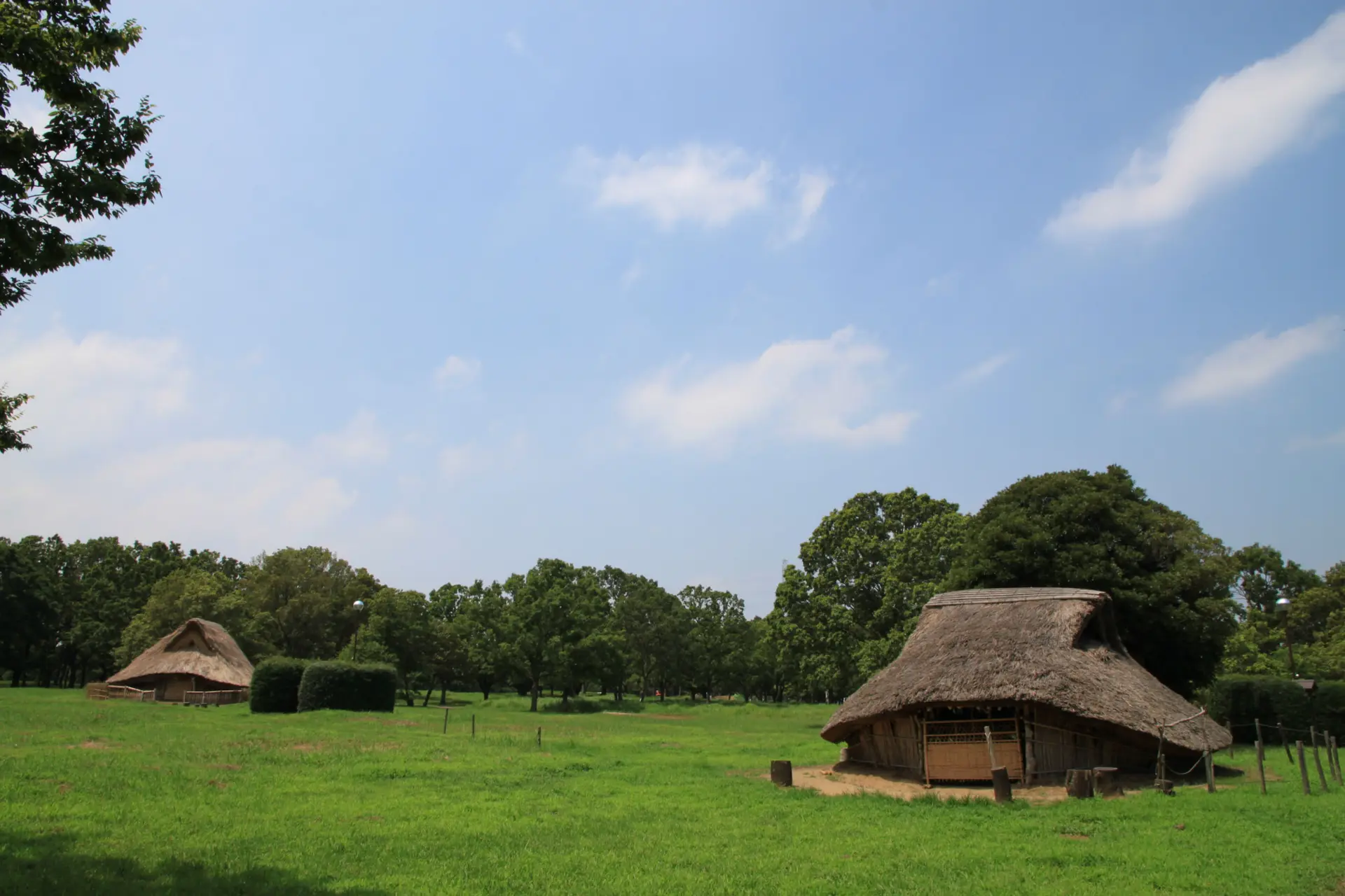 復元された竪穴住居が点在する風景。木々に囲まれた敷地に当時の住まいの形が残る