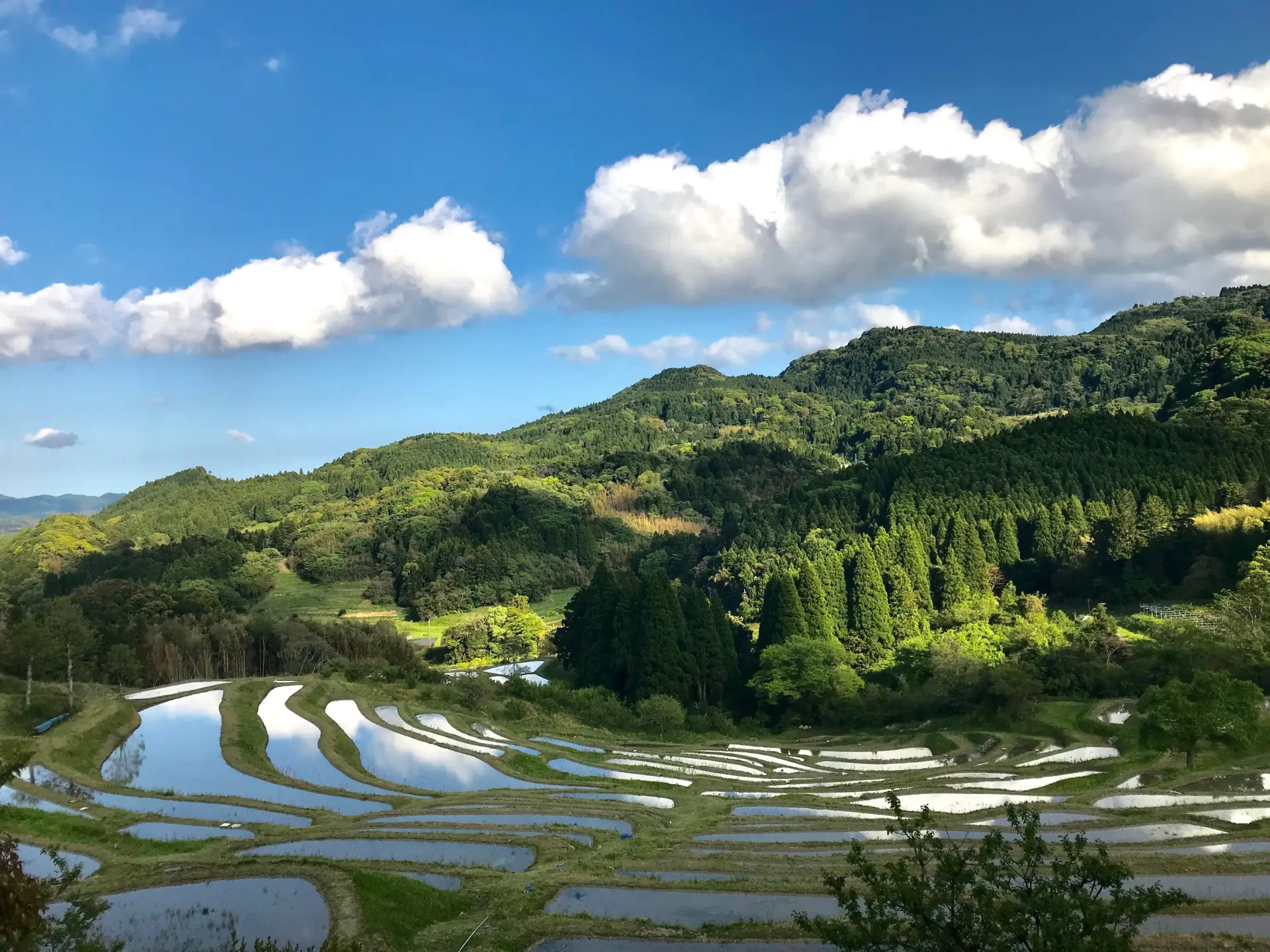 棚田に水が張られ空と雲を映し込む景観