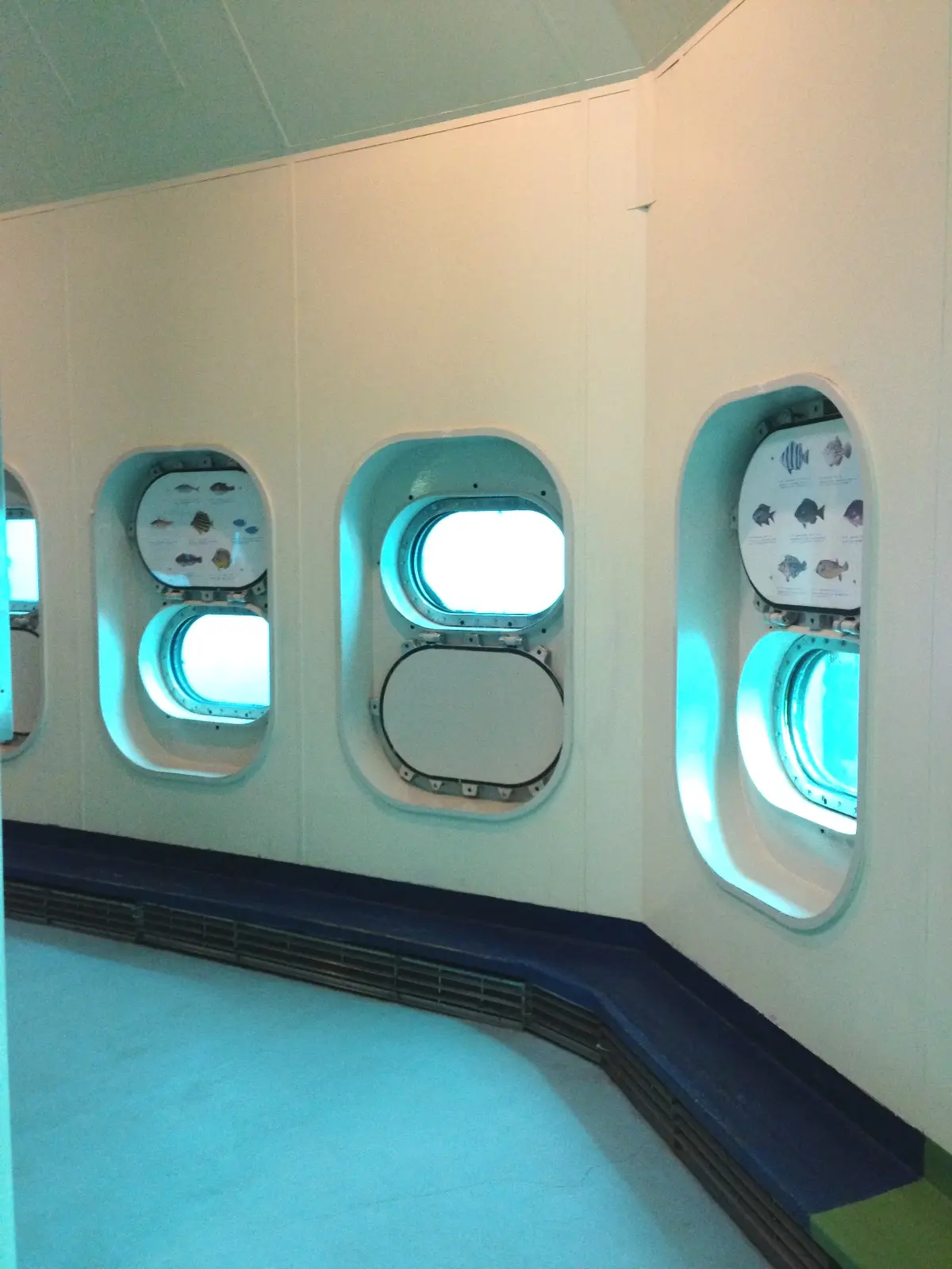 展望塔内部の丸い窓越しに海中の様子がうかがえる