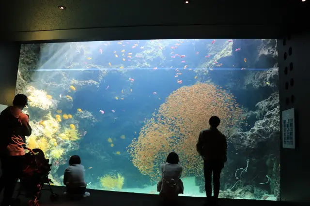 海・湖・高原までまるごと満喫！ 福島の親子旅行におすすめの観光スポット13選