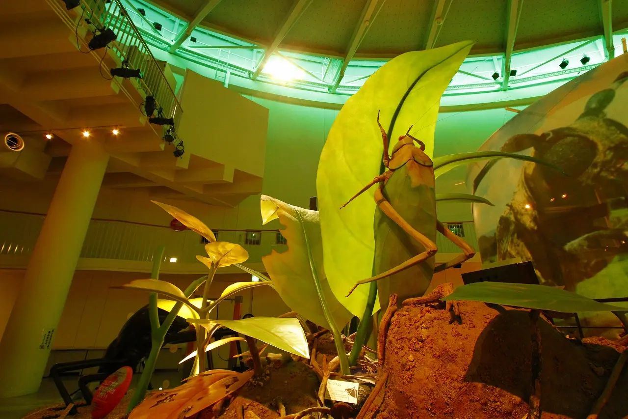巨大な昆虫模型が印象的な「なぜだろうランド」では昆虫の生態が学べる