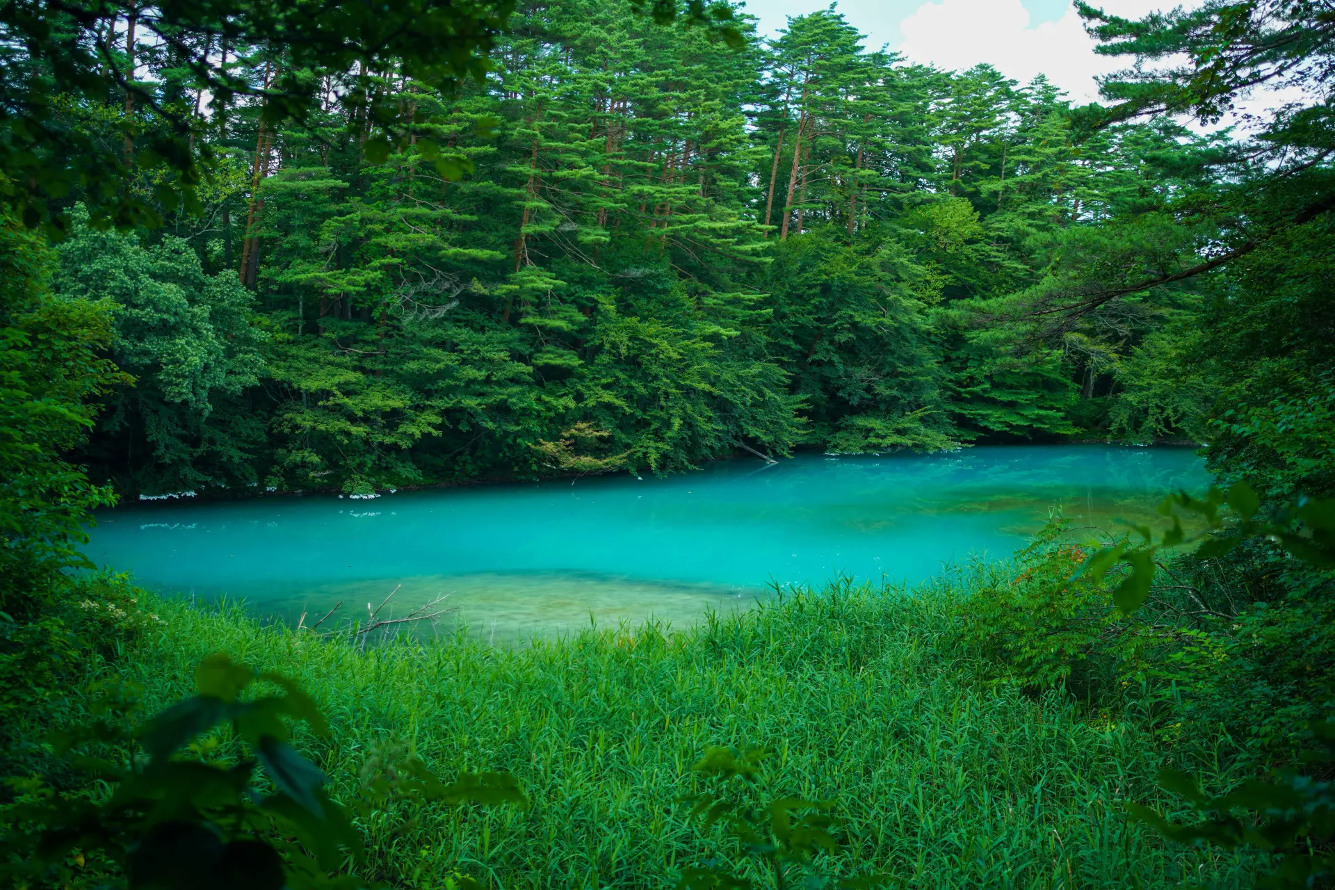 エメラルドグリーンが印象的な「青沼」