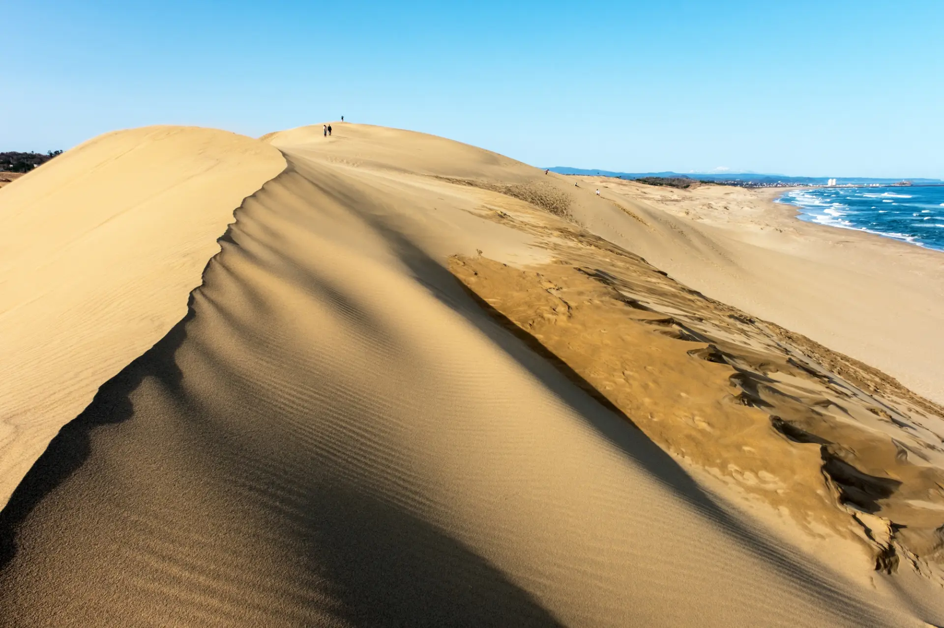 砂と風が造り出す自然の造形美を存分に楽しもう