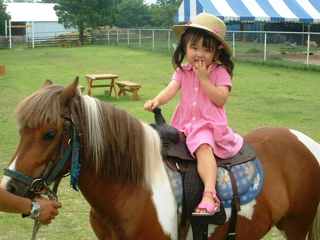 小さな子どもでも楽しめるポニー乗馬体験