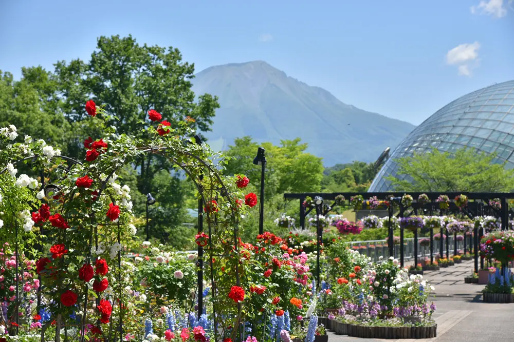 大山の雄大な姿をバックに、四季折々の花が咲き誇る