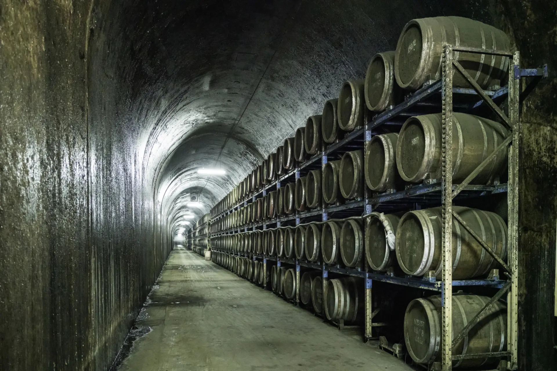 貯蔵・熟成する焼酎の様子