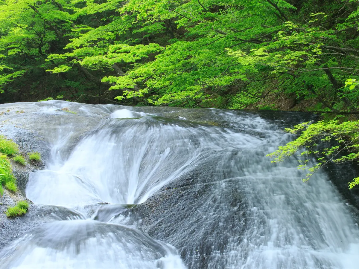 幾筋にも分かれて広がる穏やかな流れが特徴的