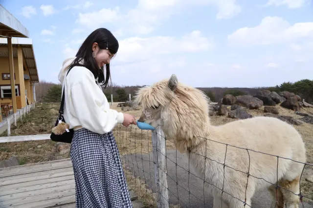 動物たちとのふれあい体験やパフォーマンスが充実している