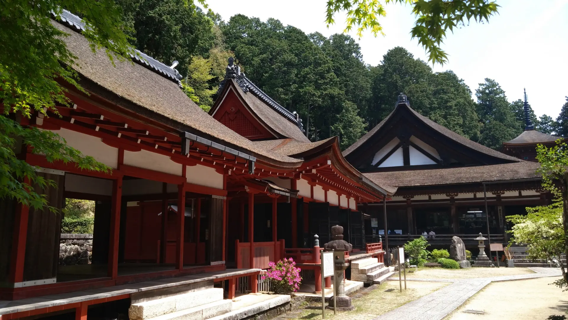 挑戰808階石階！祈願健康長壽的寺院