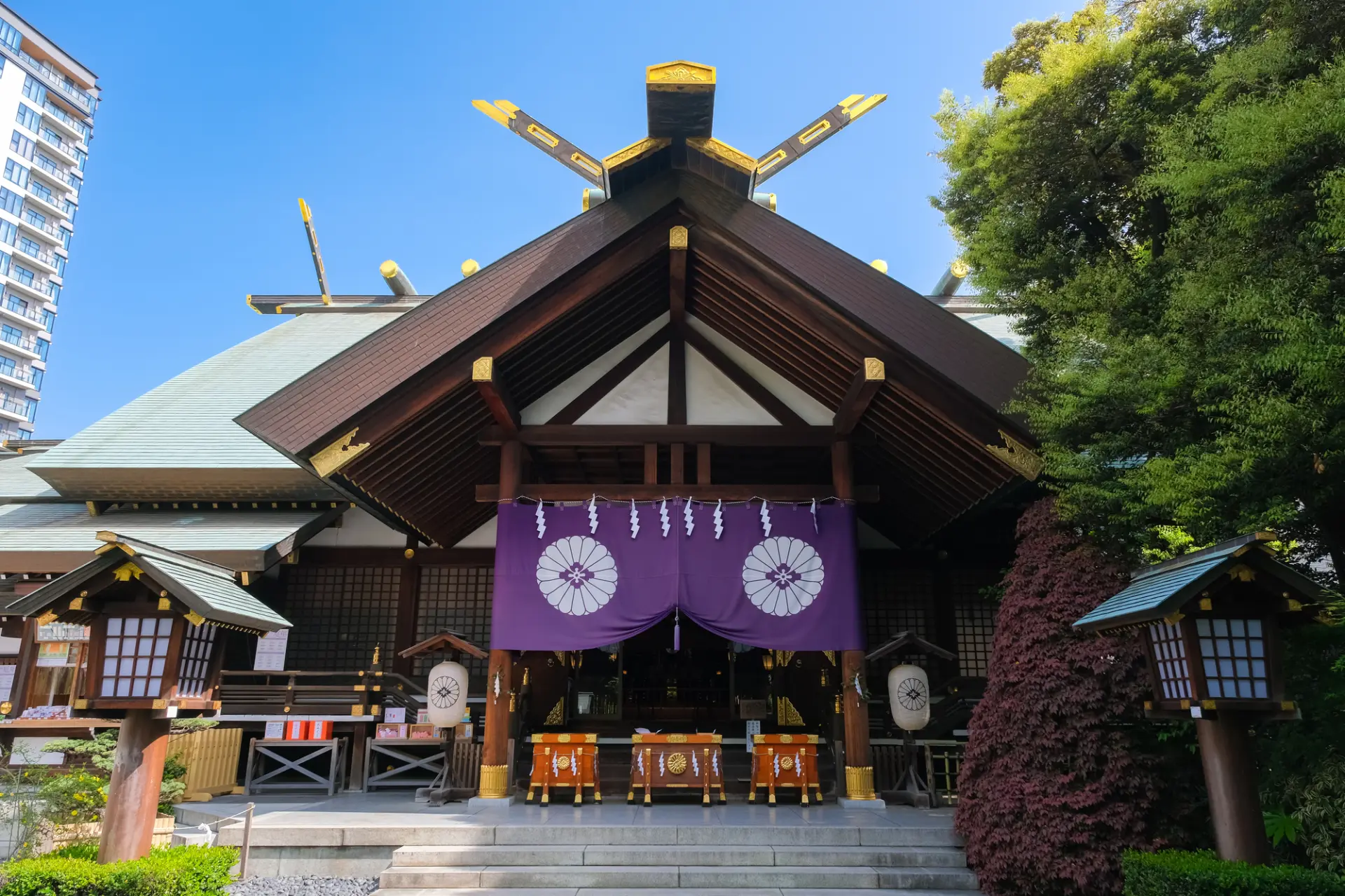 都会とは思えない落ち着いた雰囲気が広がる「本殿」