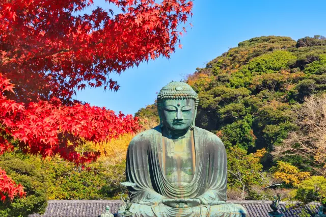 静けさの中に力強さと深みが漂う秋の大仏