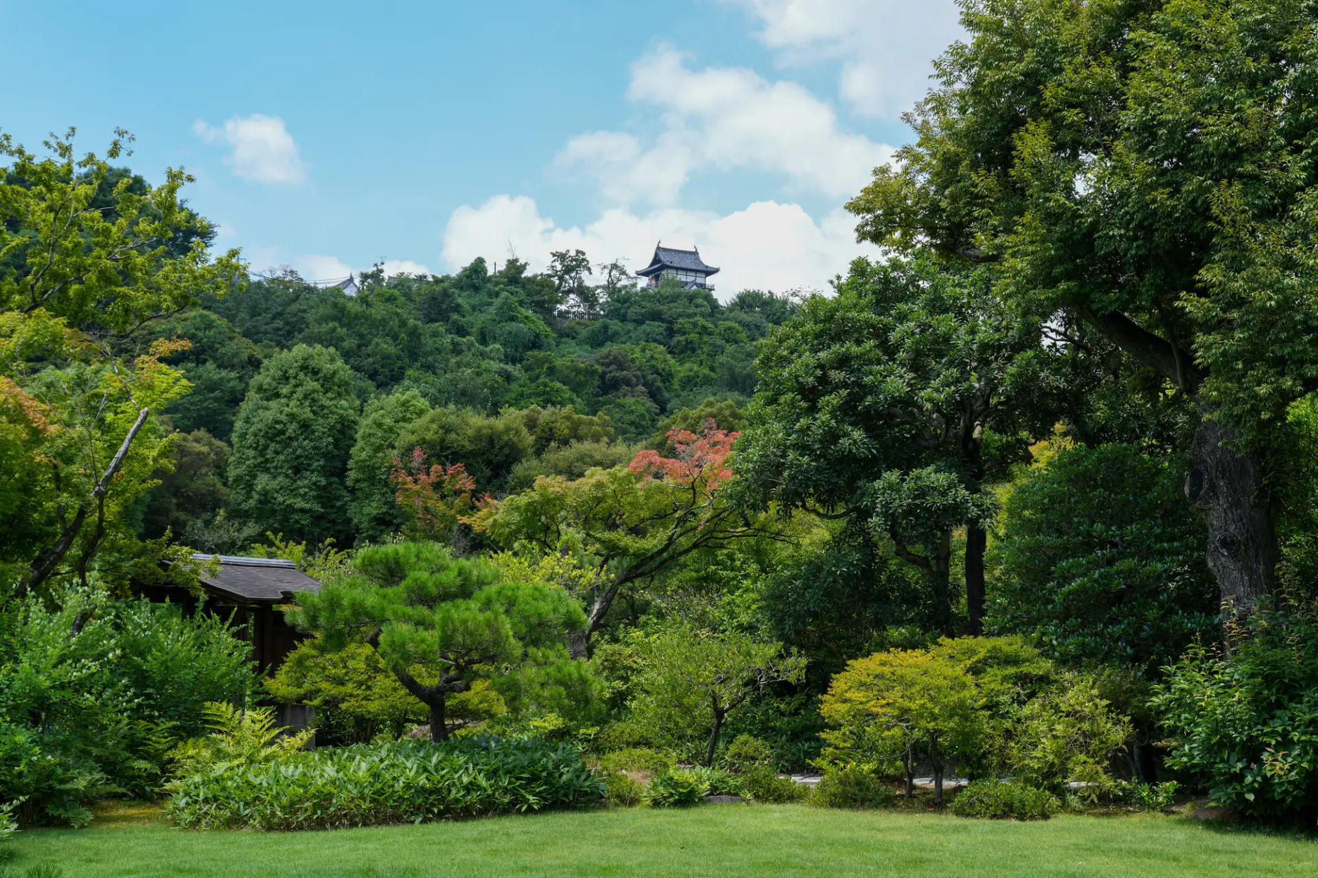 「日本庭園 有楽苑」で日本文化の繊細さ・美意識を体感しよう