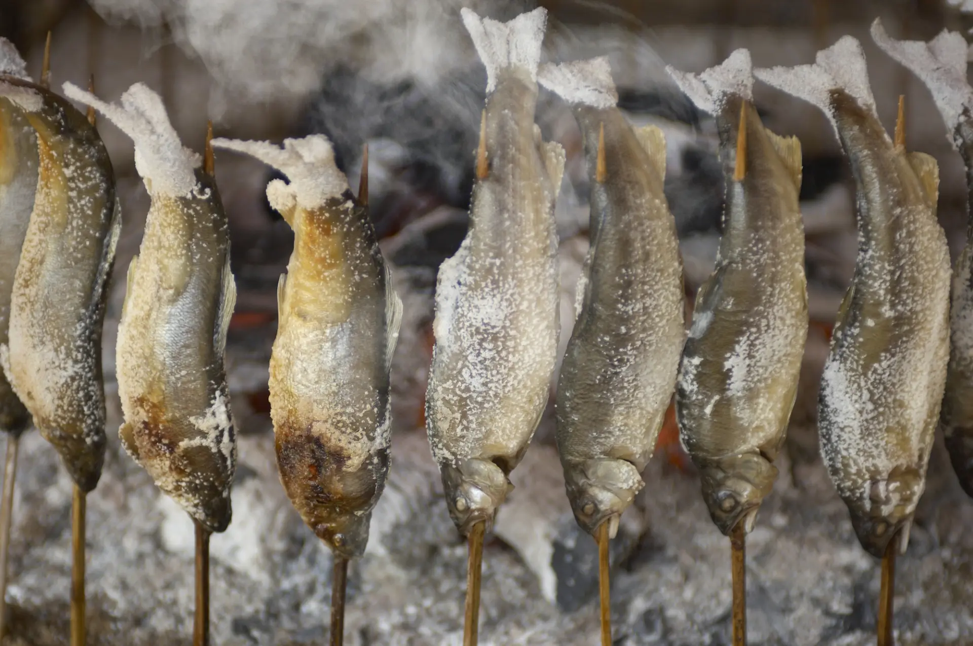 「鮎の塩焼き」は生ビールや日本酒と一緒に味わうのもお勧め（写真はイメージです）