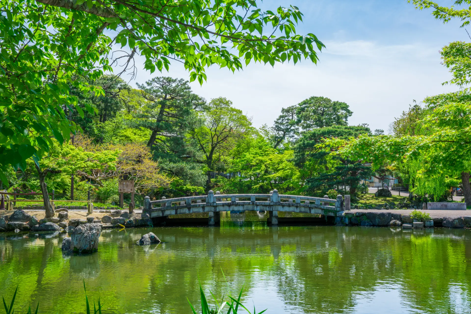 夏（7月）：圆山公园翠绿鲜嫩的新绿