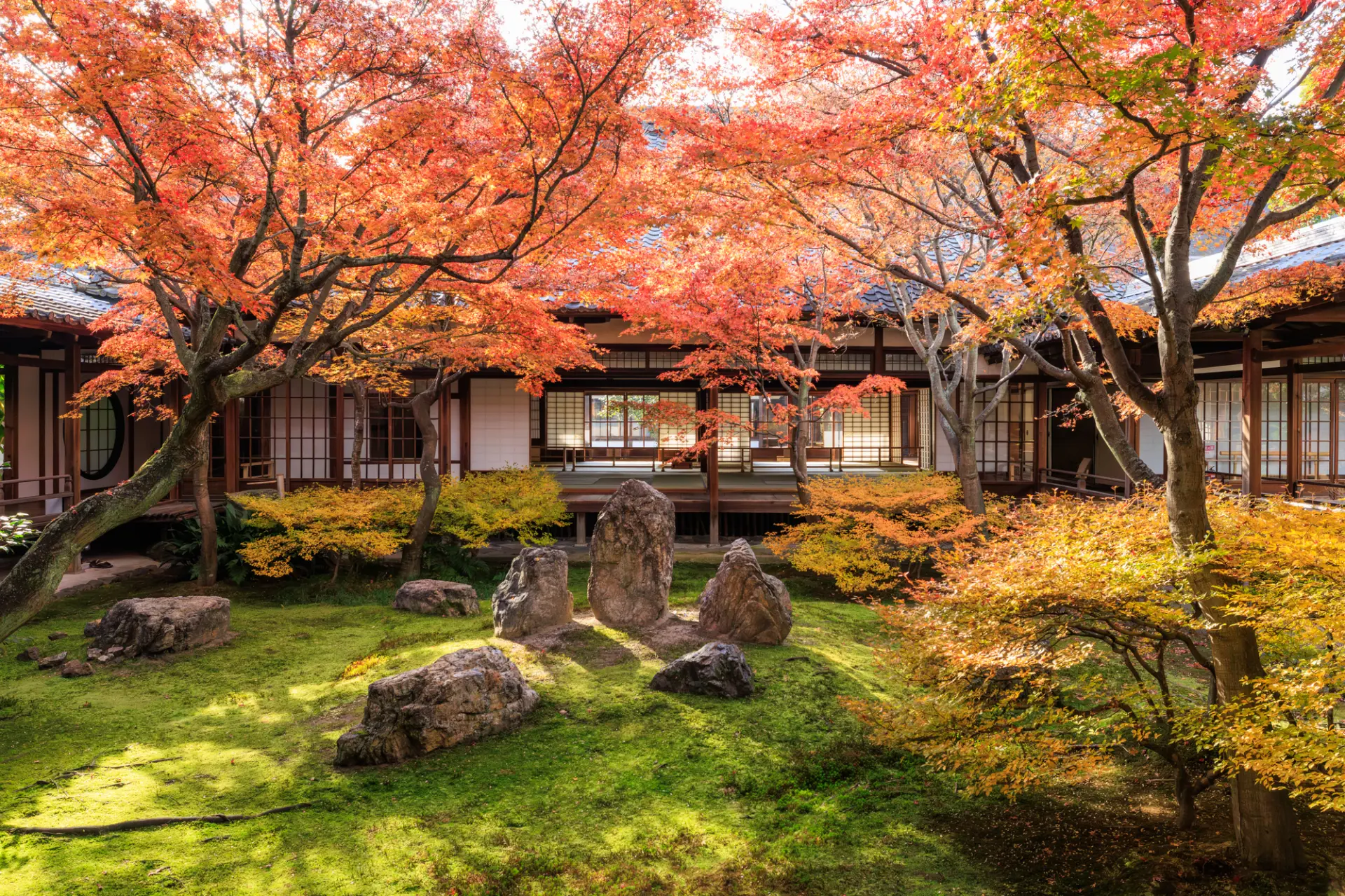 秋（11月中旬〜12月初旬）：染上秋色的建仁寺「潮音庭」