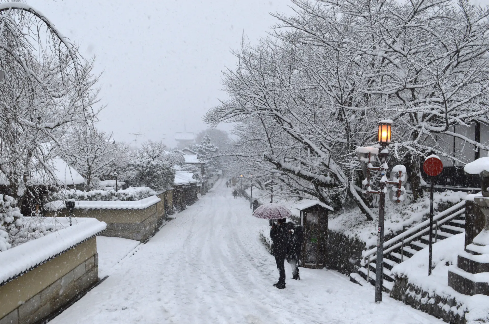 冬（1月〜2月）：漫步于清晨白雪皑皑的「宁宁之道」