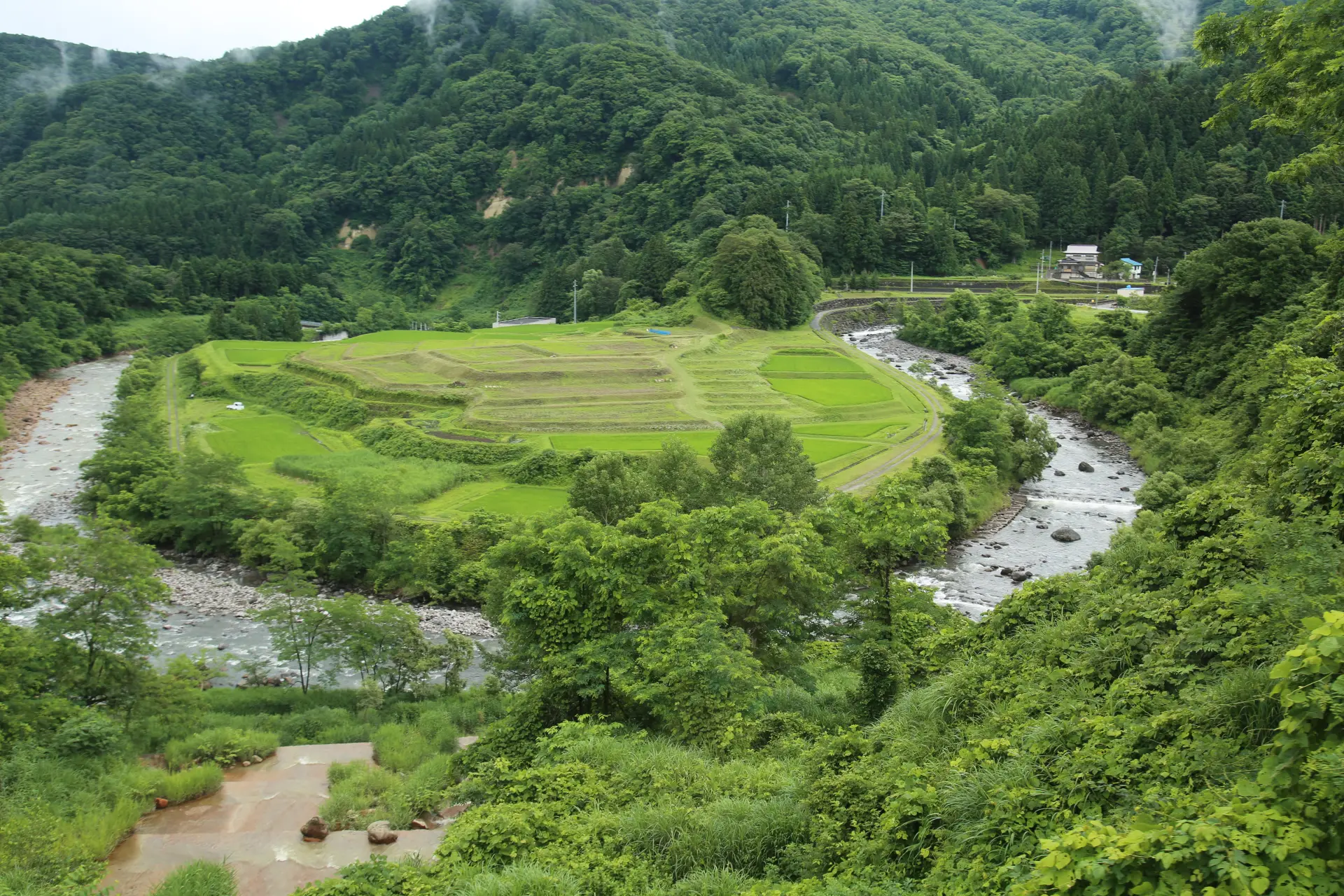 大きく蛇行する関川が作り出した見ごたえある地形
