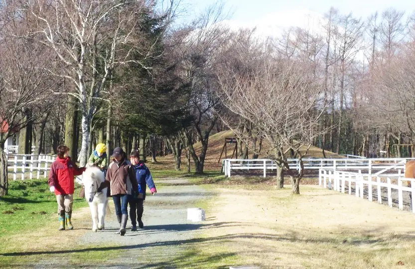ポニー引き馬体験は子どもたちに人気
