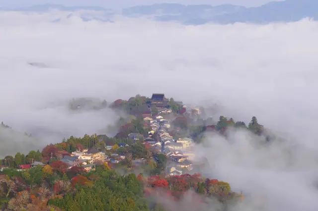 【奈良で見つける「異界」の風景9選】神々が潜む山と水の迷宮への誘い